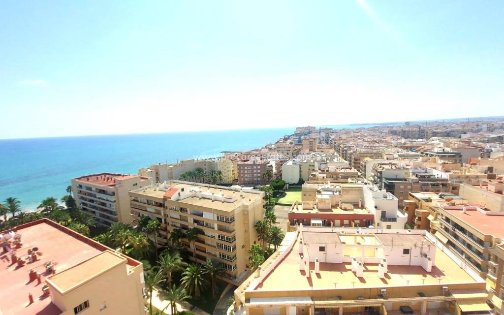 Resale - Apartment - Torrevieja - Carrefour Area