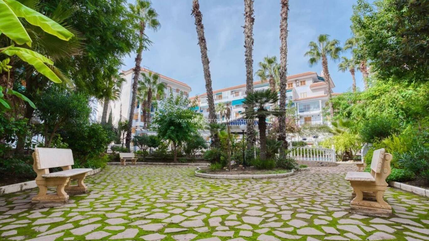 Resale - Apartment - Torrevieja - La Mata