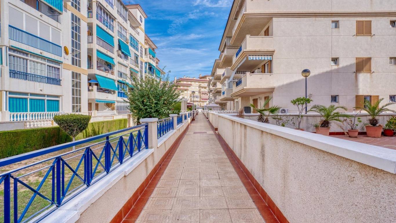 Resale - Apartment - Torrevieja - Los Europeos