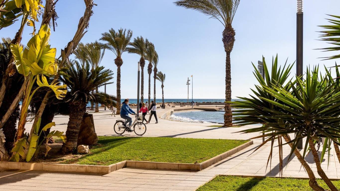 Resale - Apartment - Torrevieja - Torrevieja Center