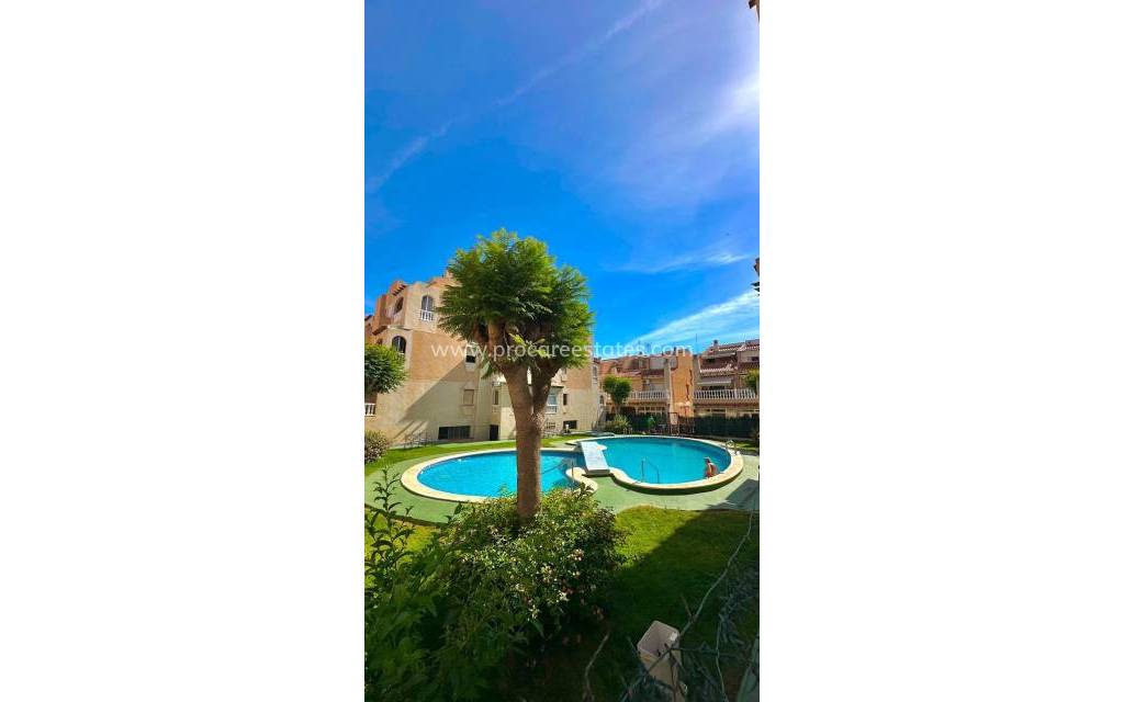 Resale - Apartment - Torrevieja - Torrevieja Center