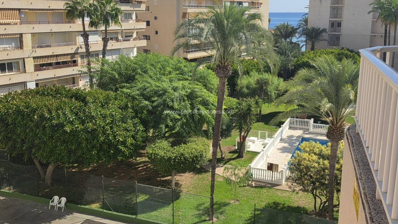 Resale - Apartment - Torrevieja - Torrevieja Center