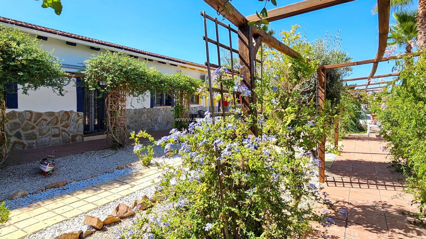 Resale - Country Property - Crevillente