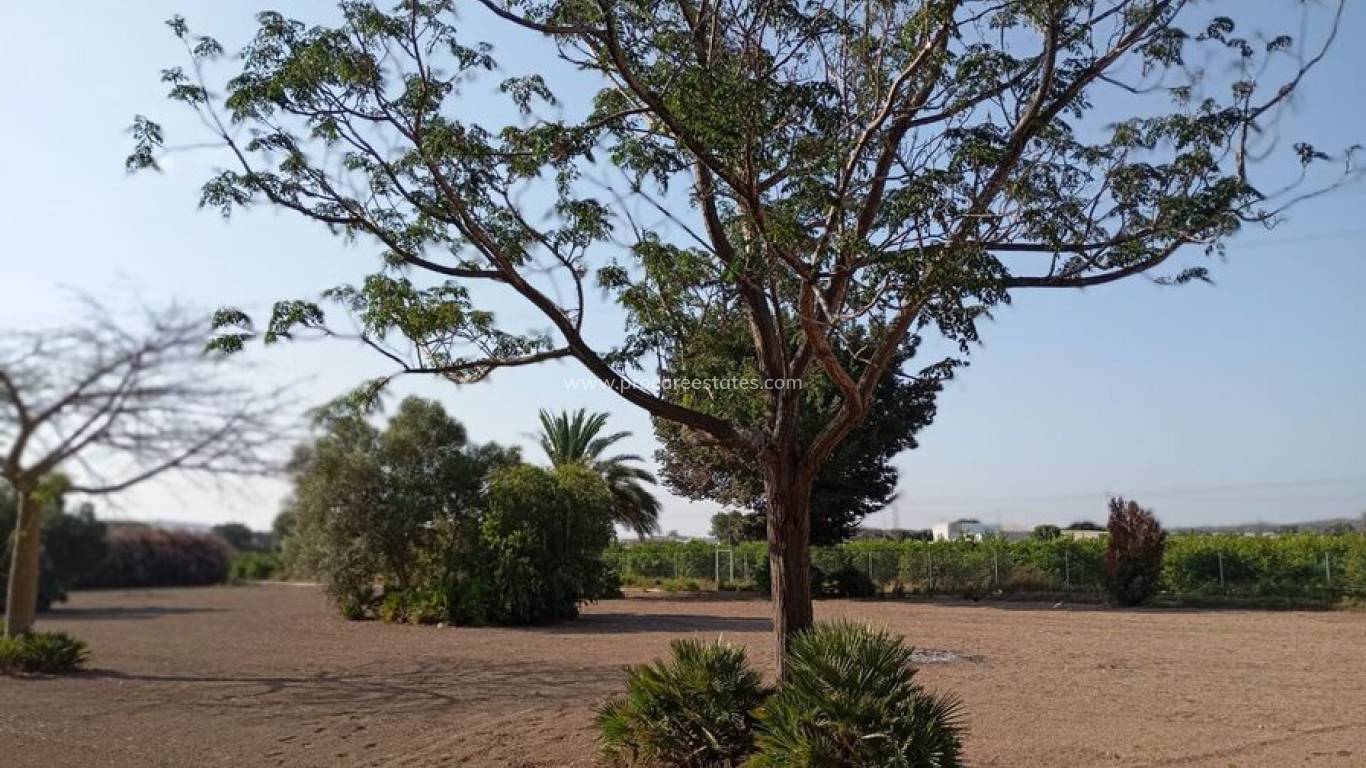 Resale - Country Property - Daya Nueva