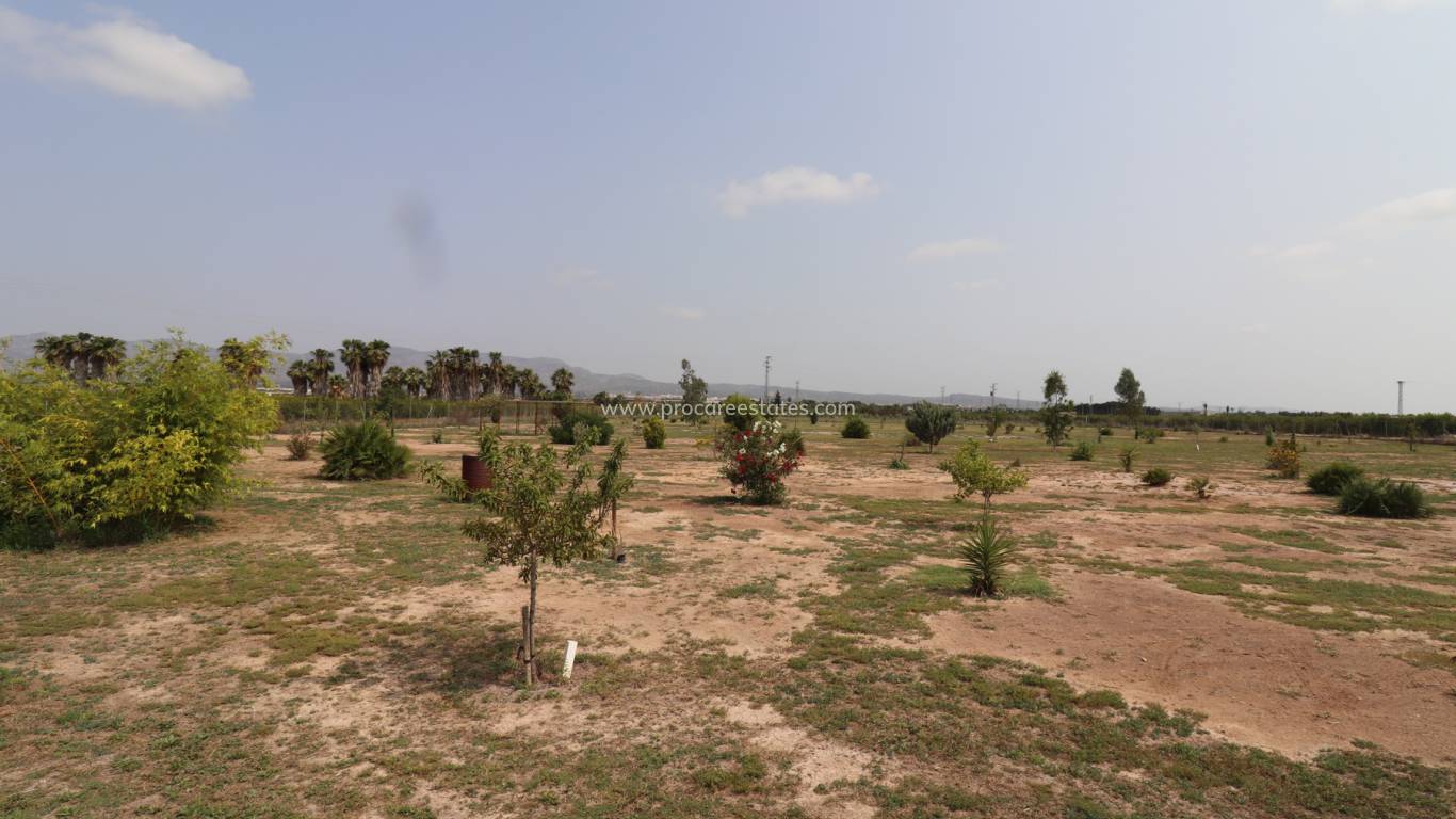 Resale - Country Property - El Realengo