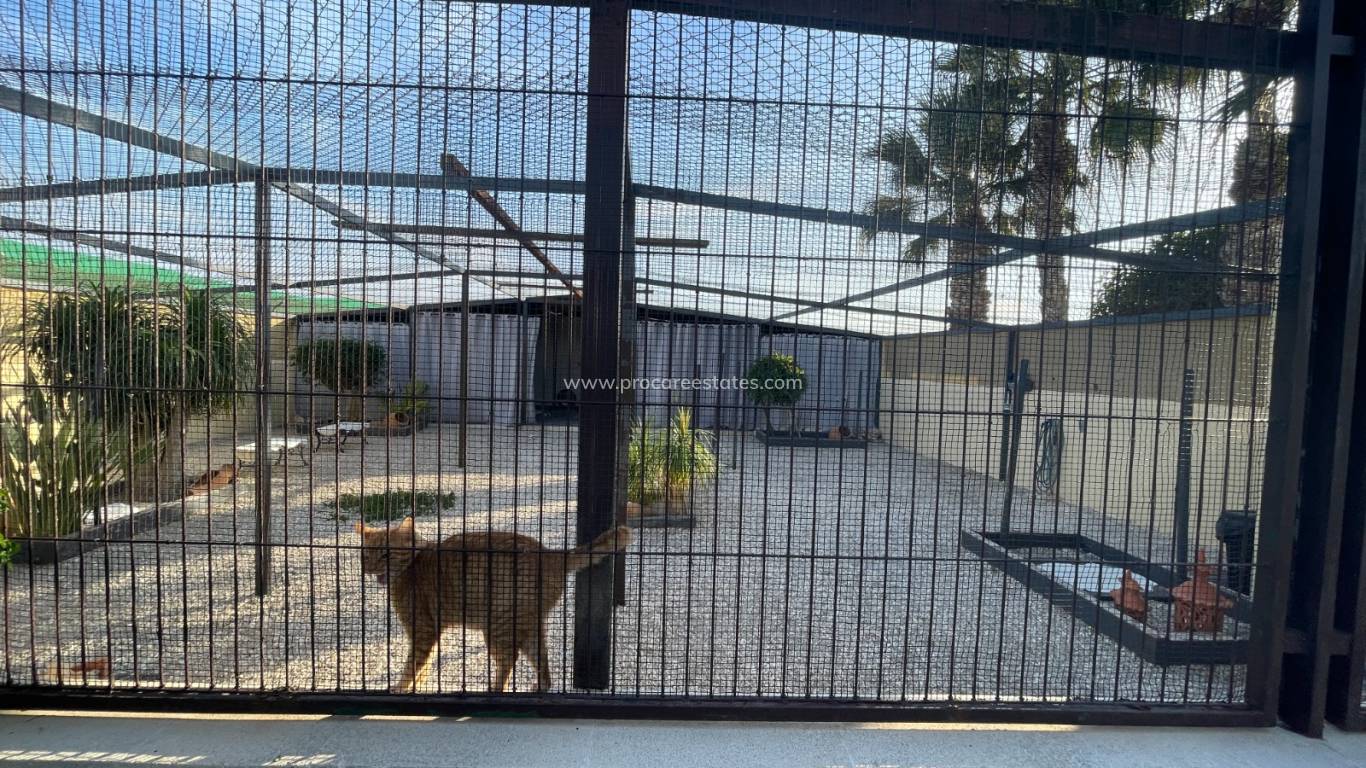 Resale - Country Property - Elche - Las Bayas