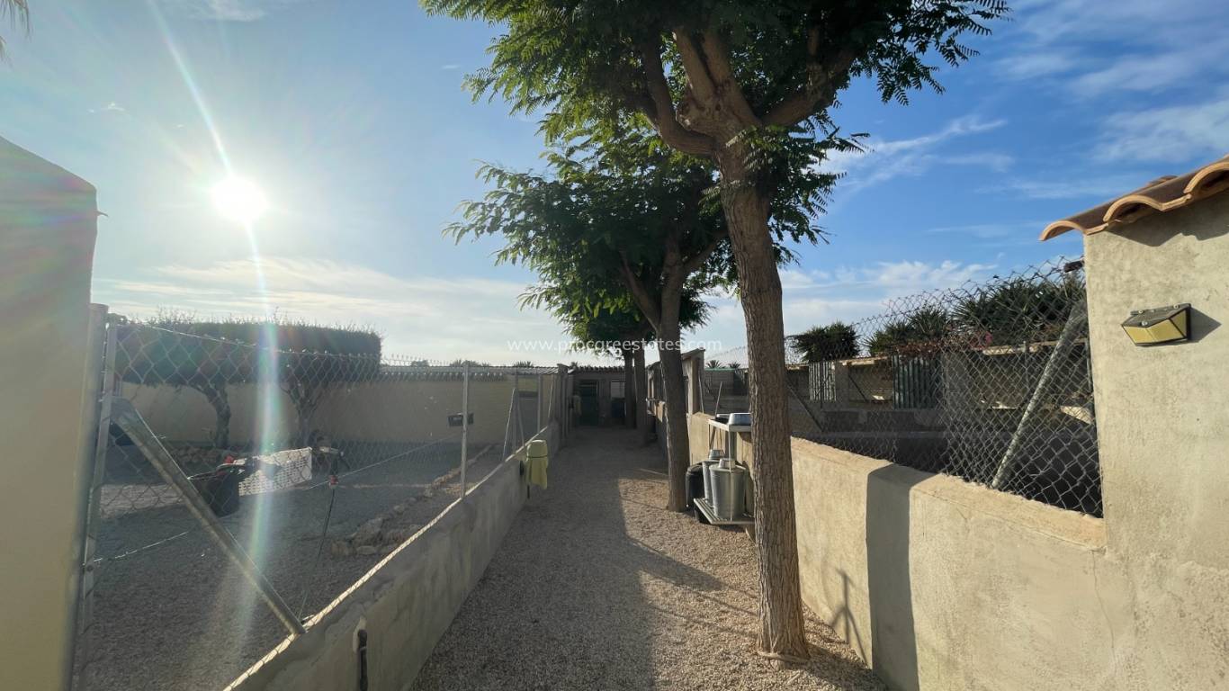 Resale - Country Property - Elche - Las Bayas