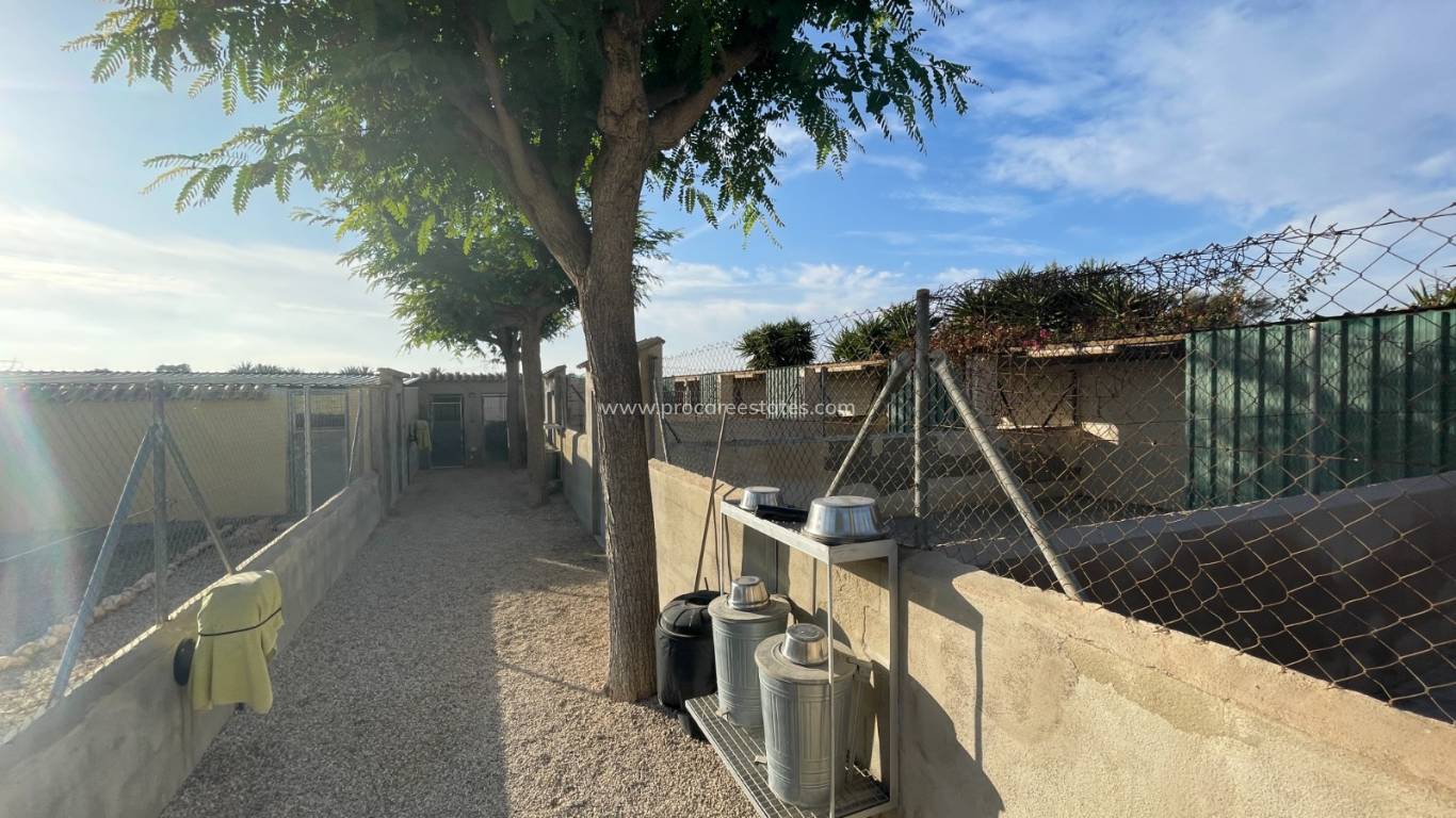 Resale - Country Property - Elche - Las Bayas