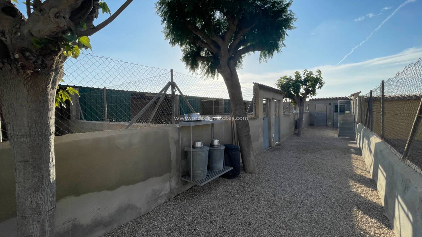 Resale - Country Property - Elche - Las Bayas