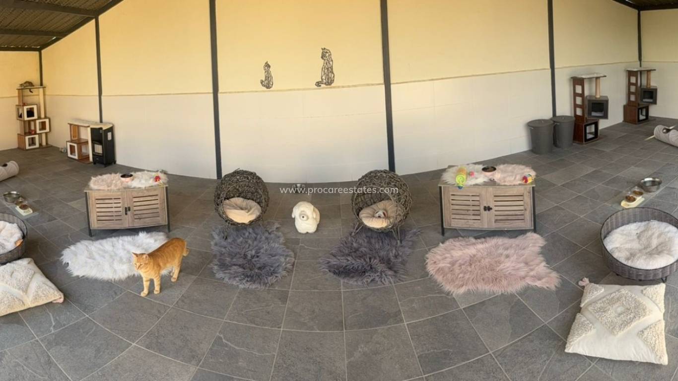 Resale - Country Property - Elche - Las Bayas