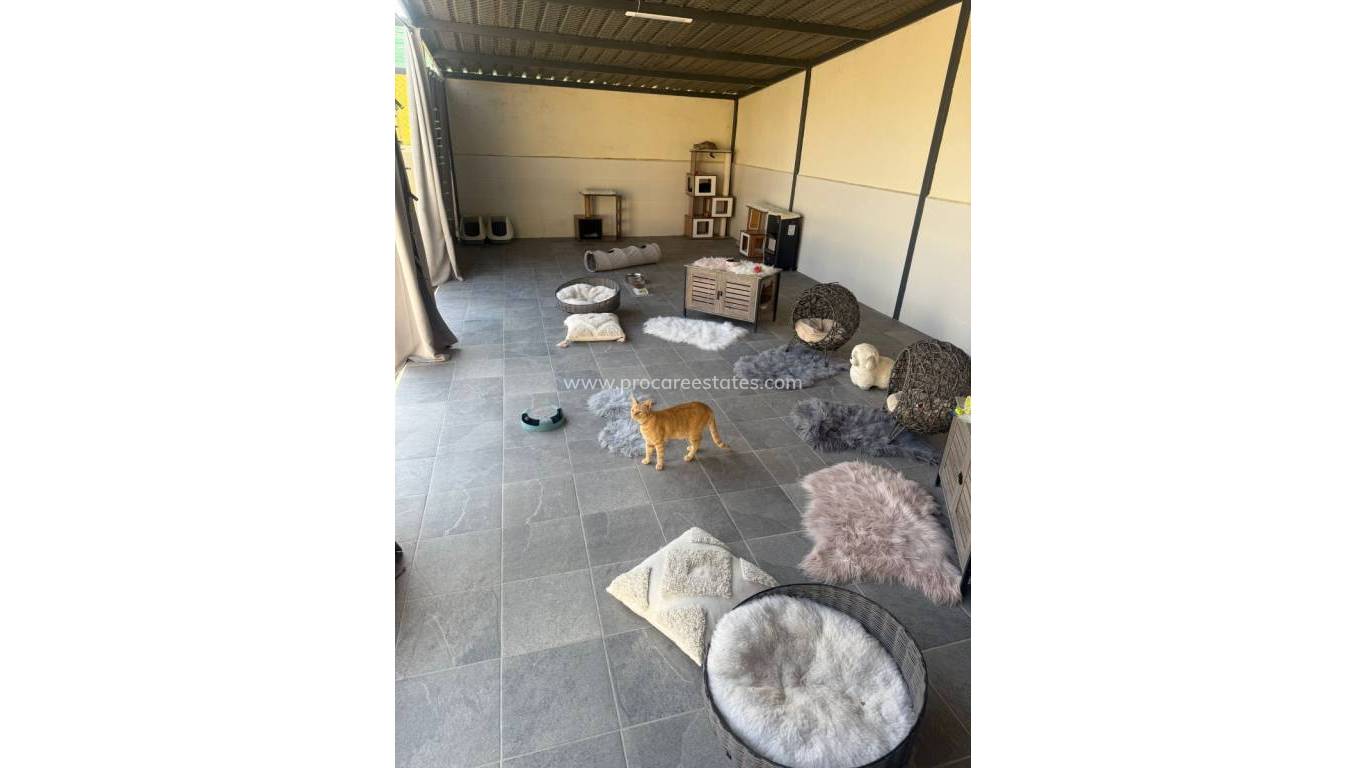 Resale - Country Property - Elche - Las Bayas