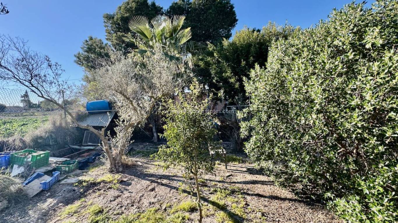 Resale - Country Property - Guardamar del Segura