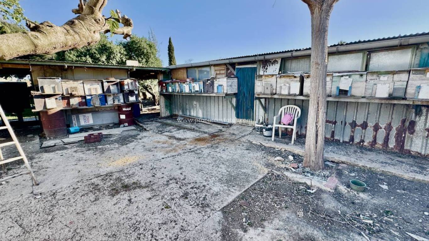 Resale - Country Property - Guardamar del Segura