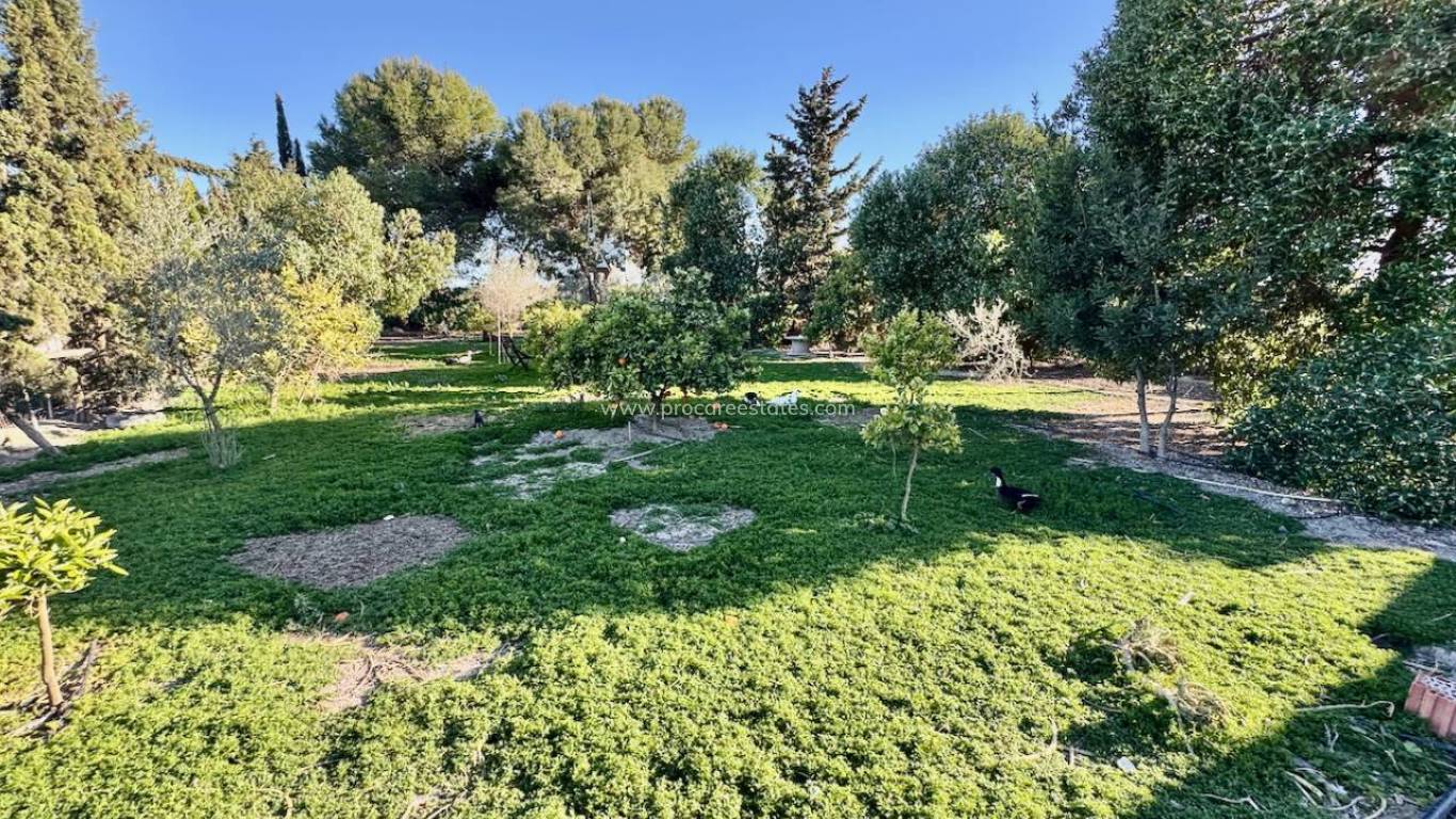 Resale - Country Property - Guardamar del Segura