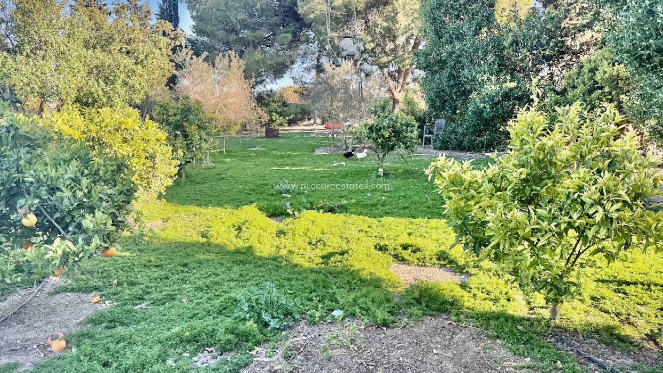Resale - Country Property - Guardamar del Segura