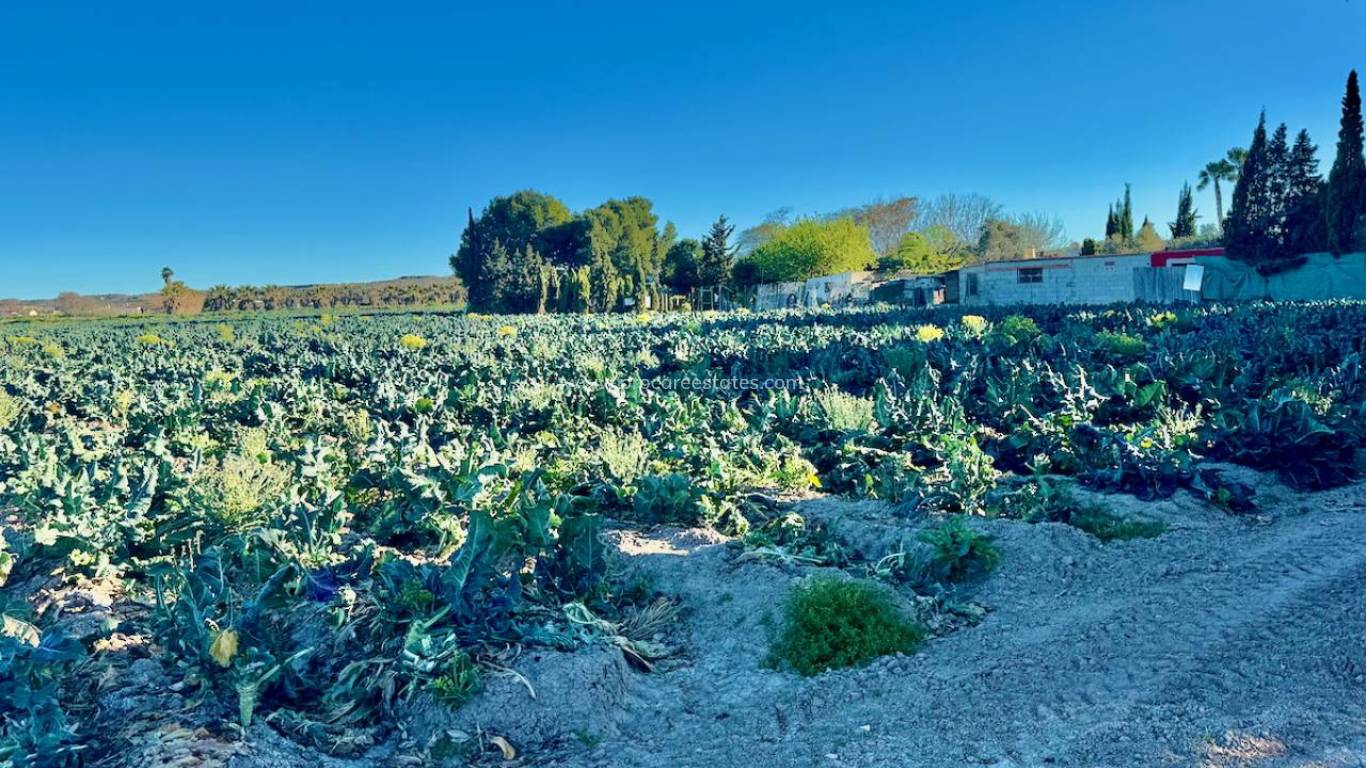 Resale - Country Property - Guardamar del Segura
