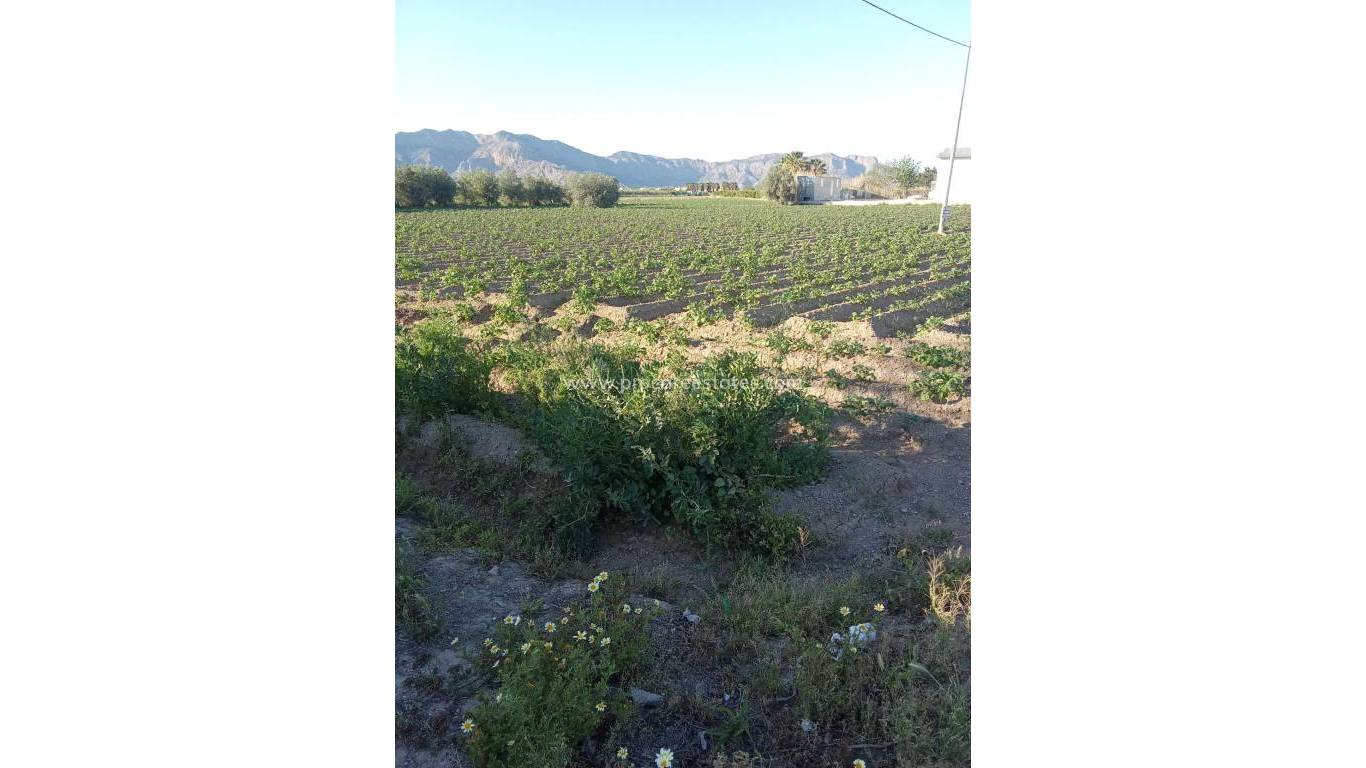 Resale - Country Property - Orihuela - Correntías Bajas