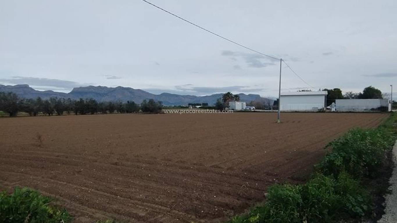 Resale - Country Property - Orihuela - Correntías Bajas