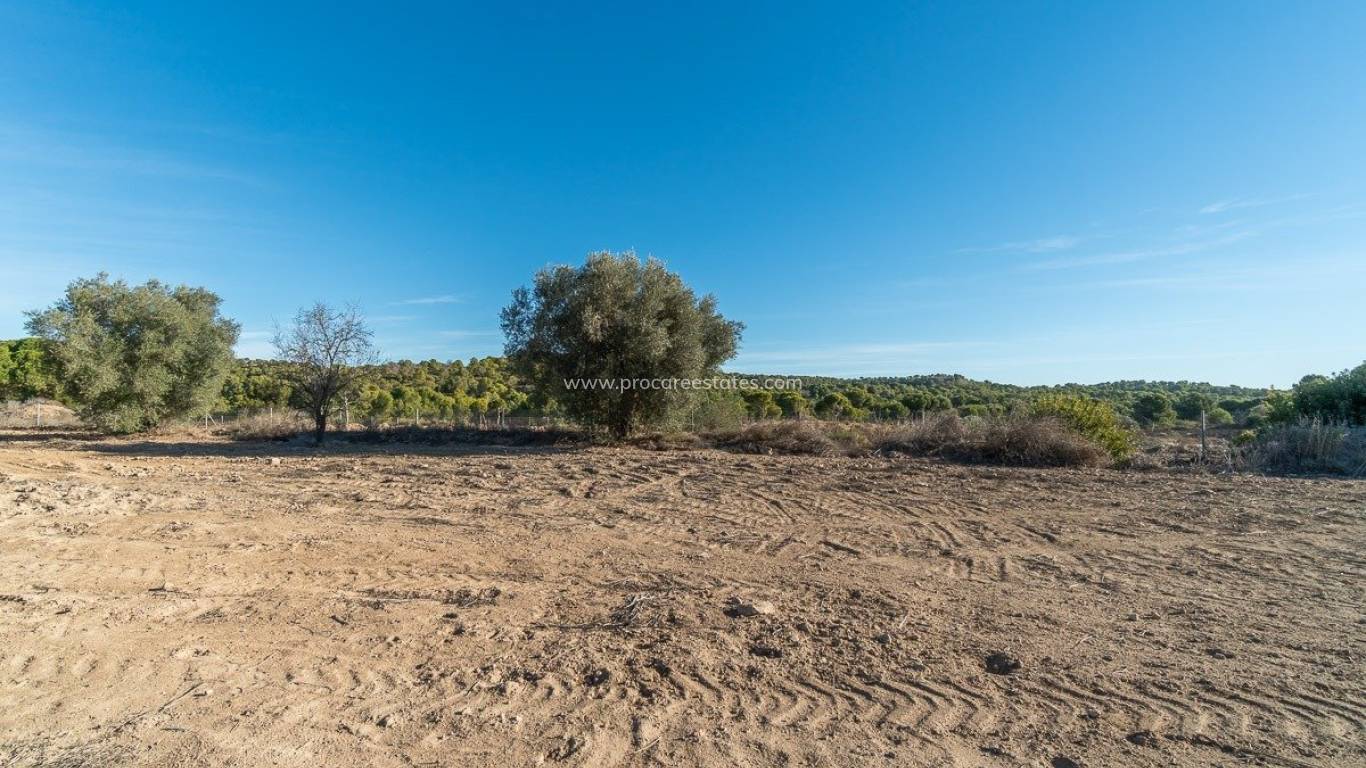 Resale - Country Property - Pilar de la Horadada - Pinar de la Perdiz