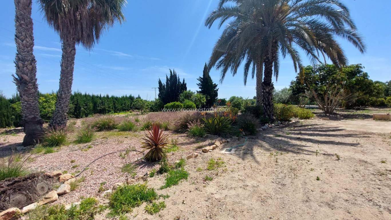 Resale - Country Property - San Miguel de Salinas