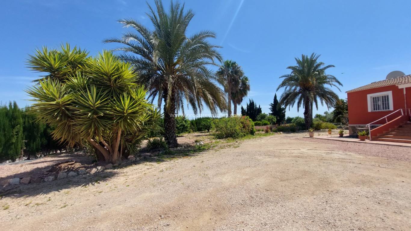 Resale - Country Property - San Miguel de Salinas