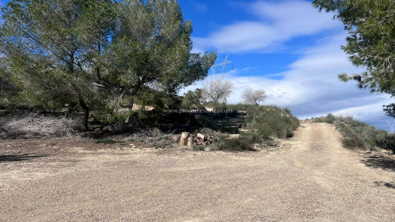 Resale - Country Property - Torremendo