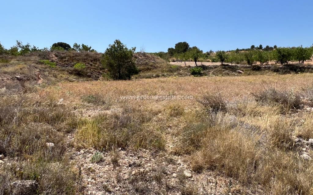 Resale - Land - Barbarroja