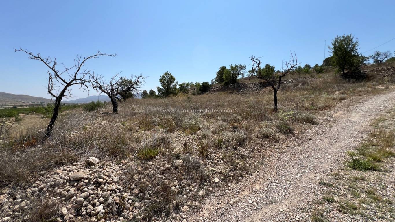 Resale - Land - Barbarroja