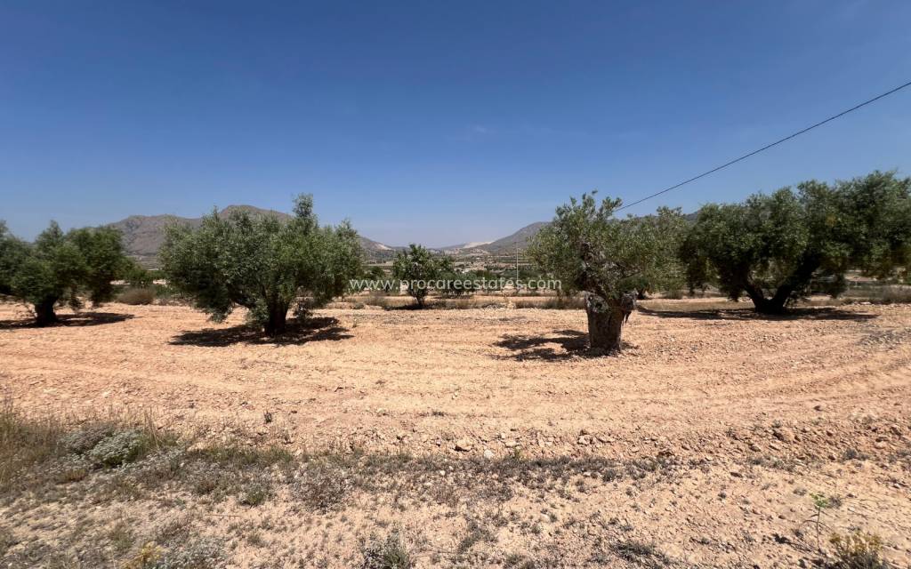 Resale - Land - Barbarroja