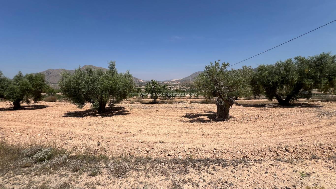 Resale - Land - Barbarroja