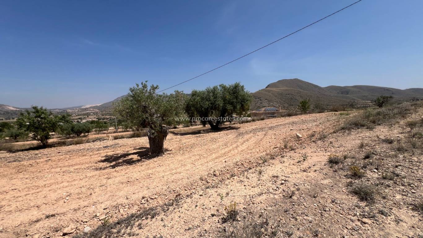 Resale - Land - Barbarroja