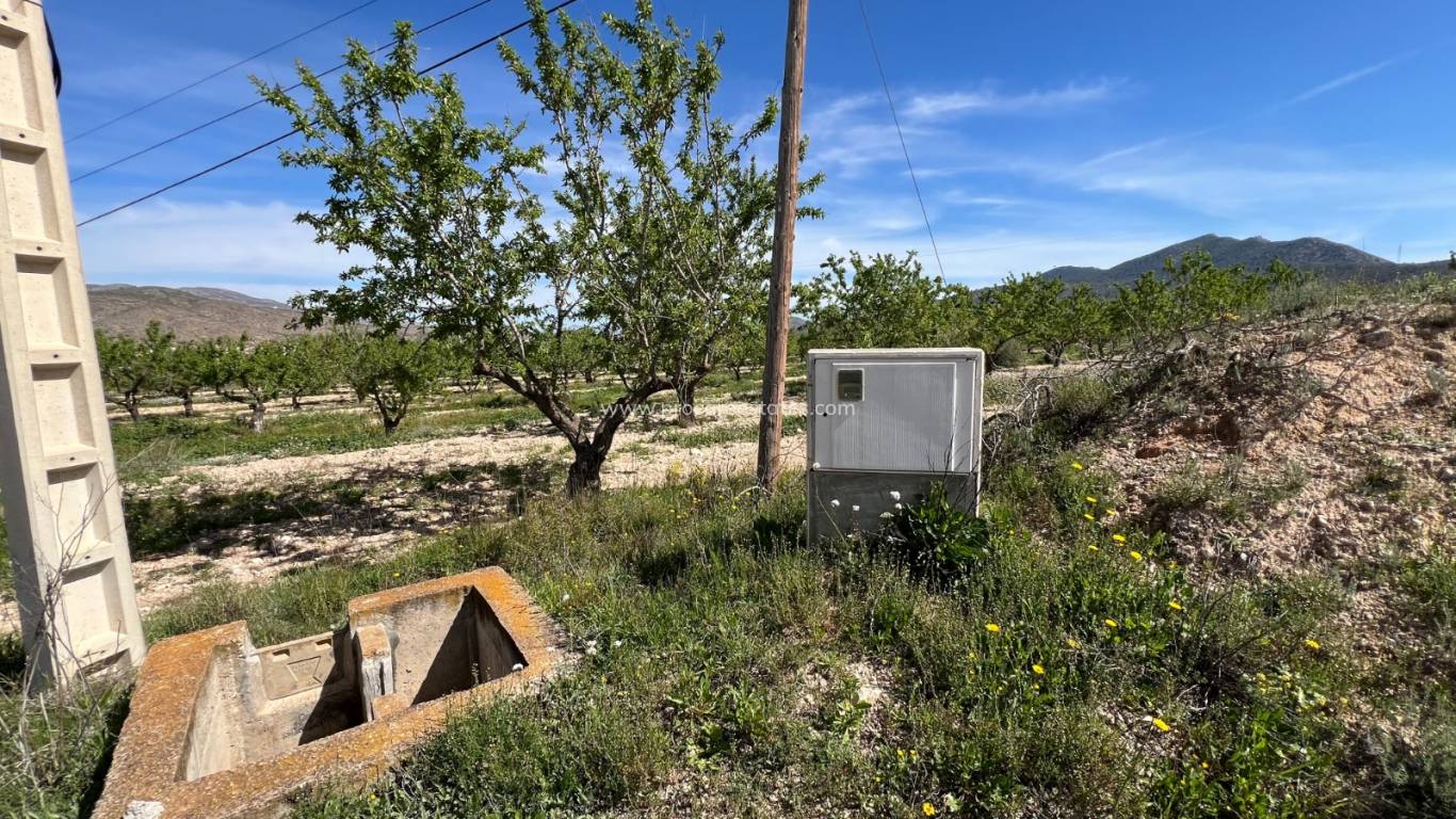 Resale - Land - Hondon De Los Frailes