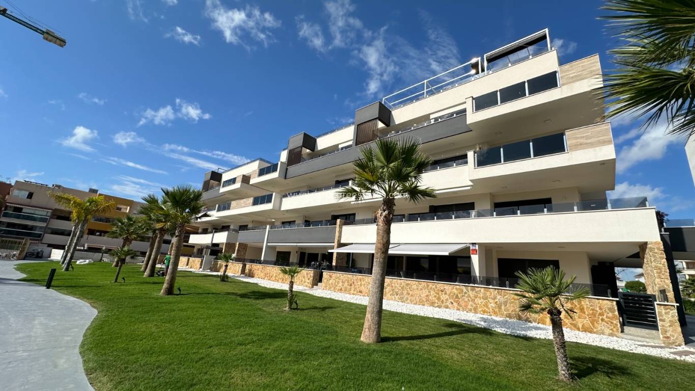 Resale - Penthouse - ORIHUELA COSTA - Playa Flamenca