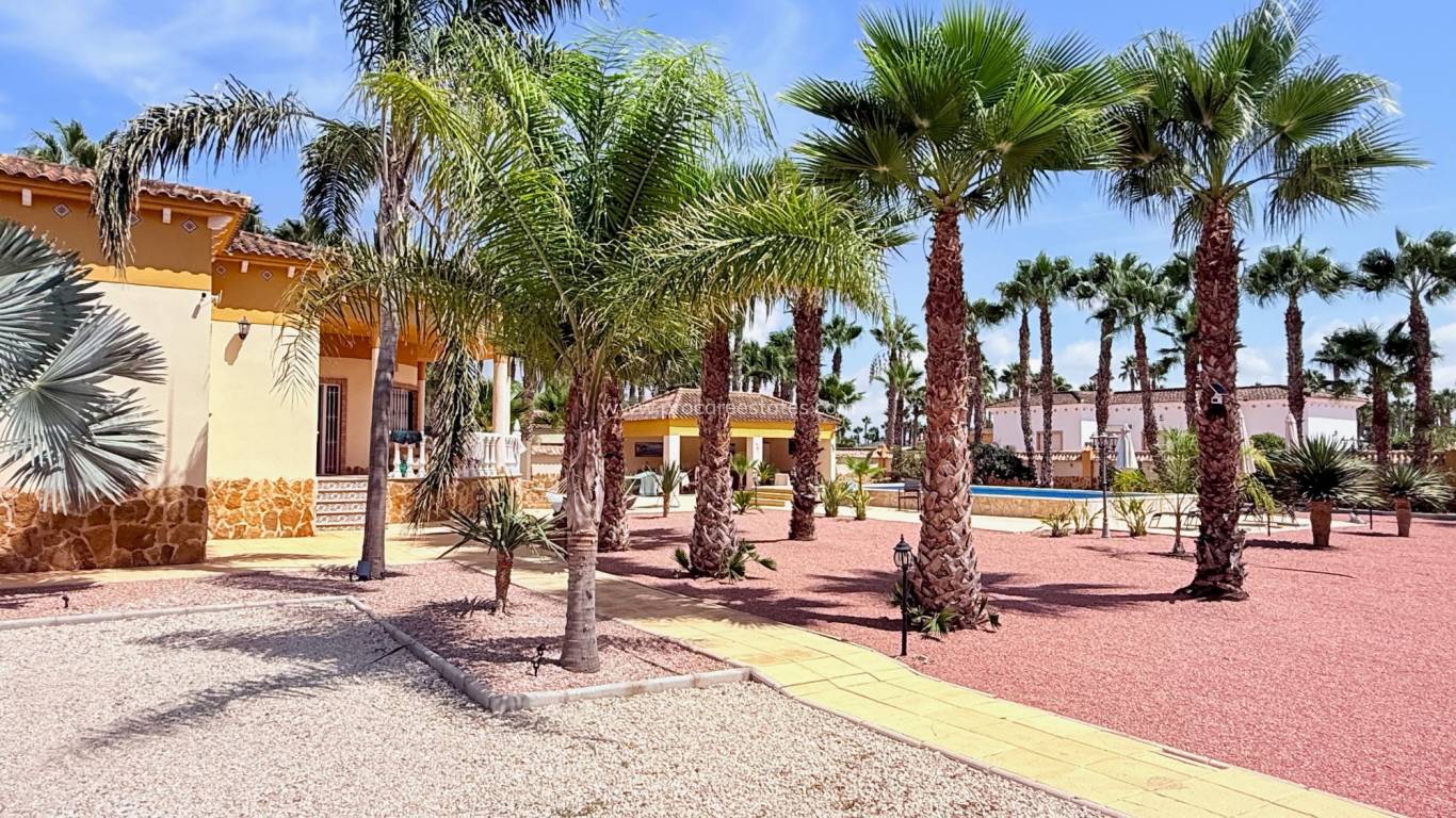 Resale - Villa - Catral