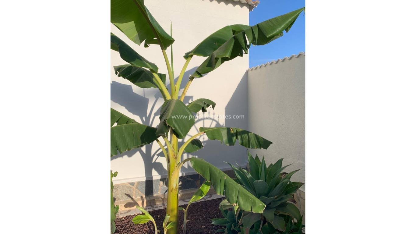 Resale - Villa - Ciudad Quesada - Quesada Center