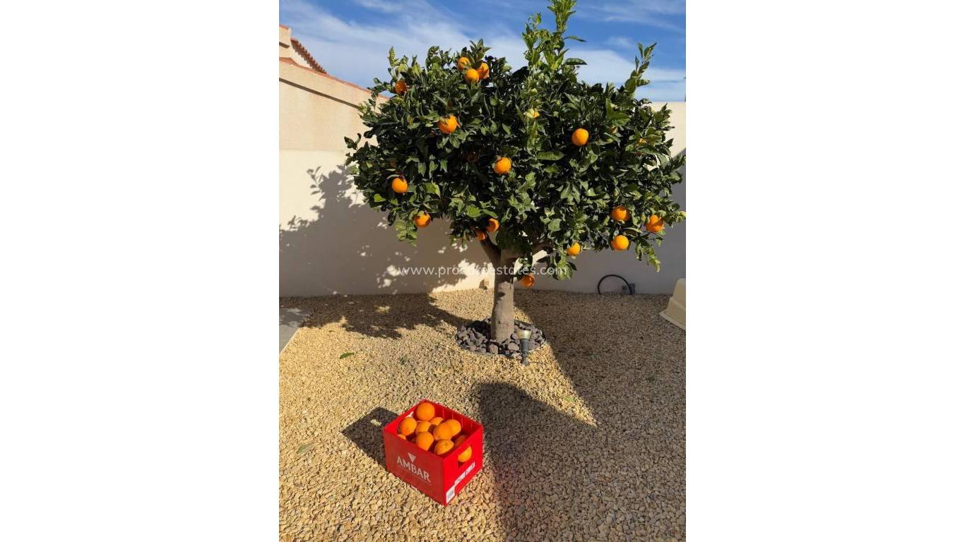 Resale - Villa - Ciudad Quesada