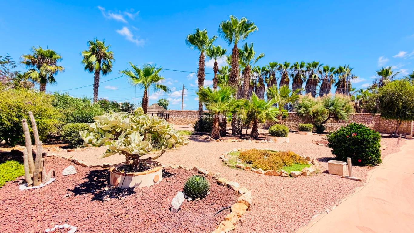 Resale - Villa - Daya Vieja