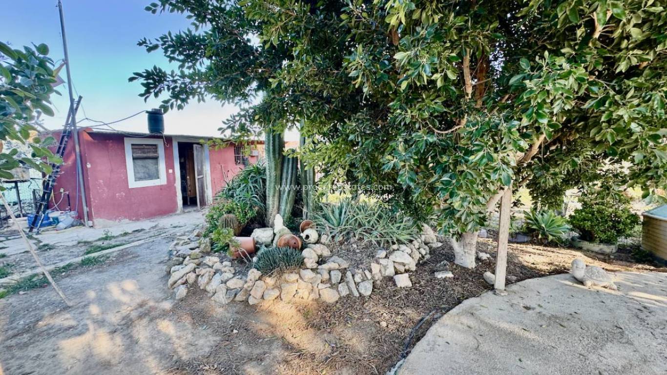 Resale - Villa - Guardamar del Segura