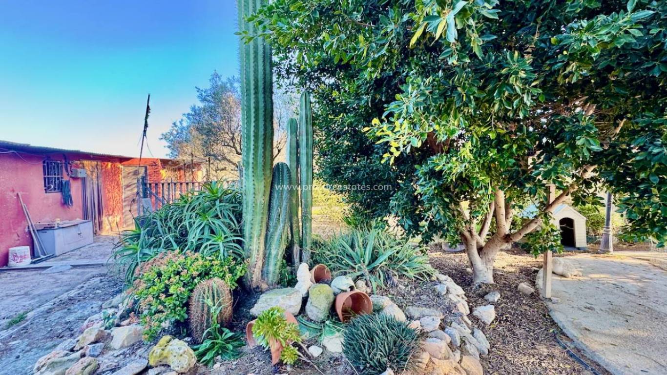 Resale - Villa - Guardamar del Segura