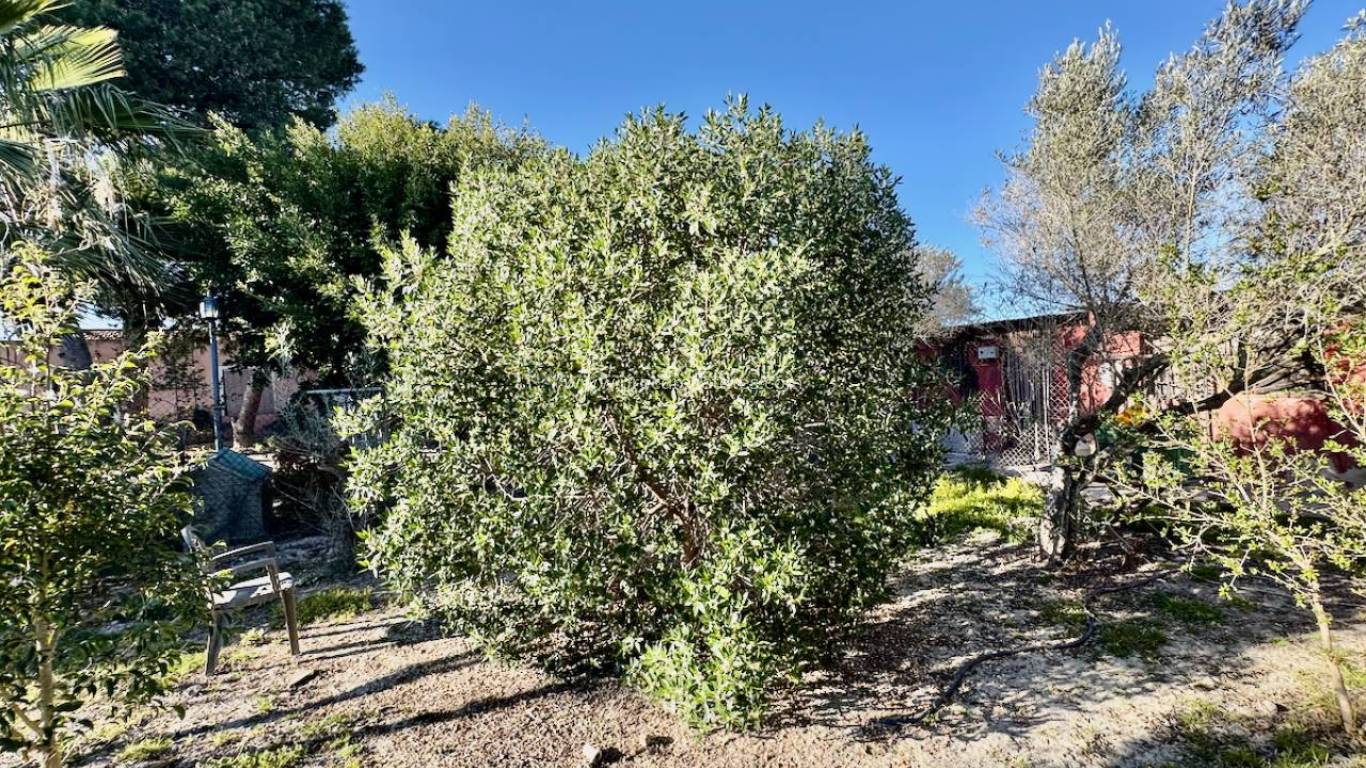 Resale - Villa - Guardamar del Segura