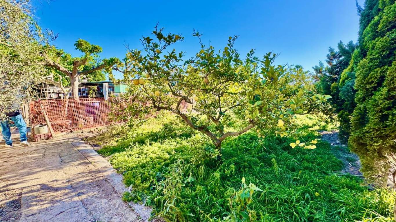 Resale - Villa - Guardamar del Segura