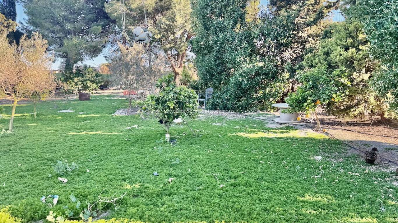 Resale - Villa - Guardamar del Segura