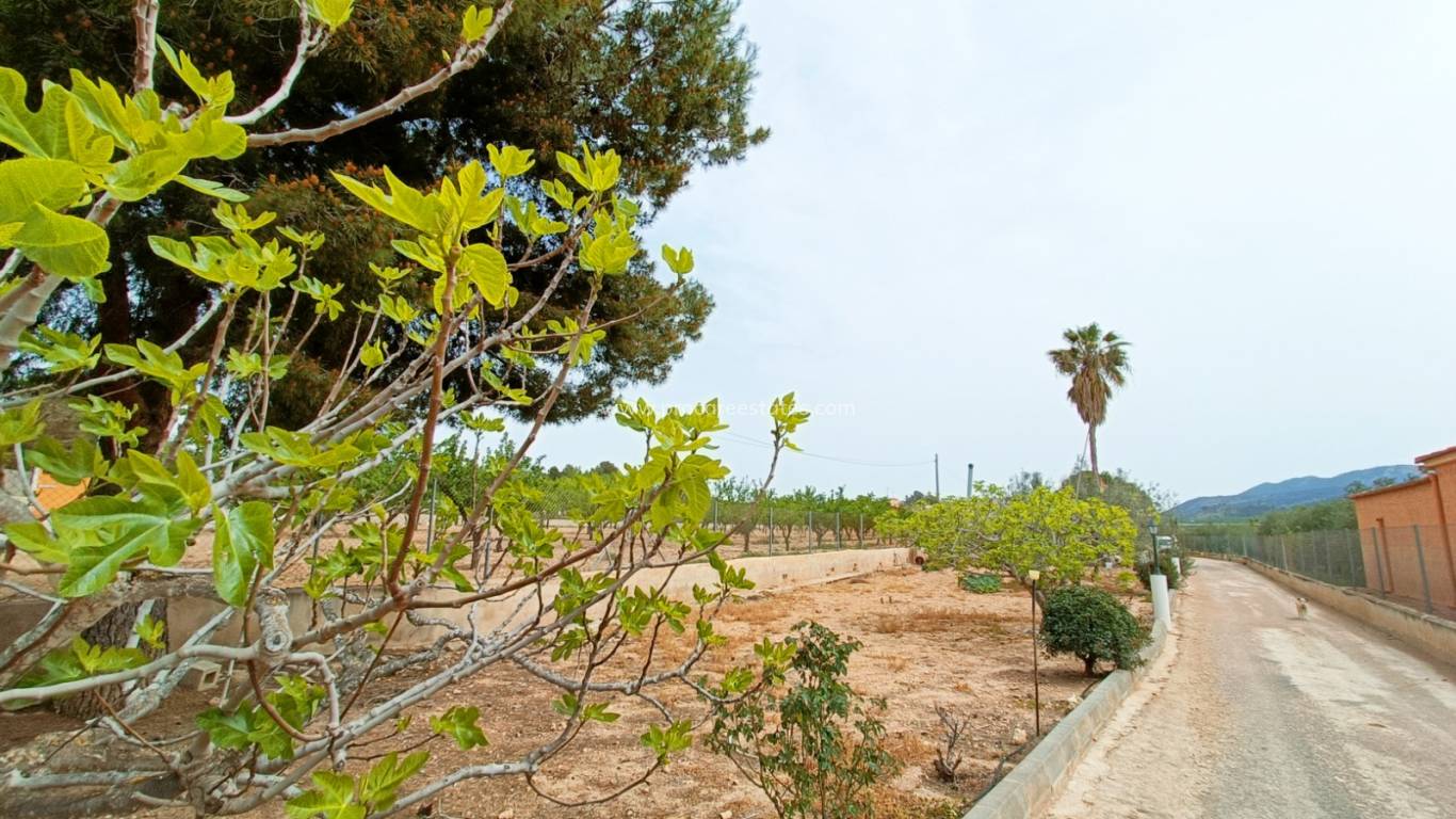 Resale - Villa - Hondon De Los Frailes