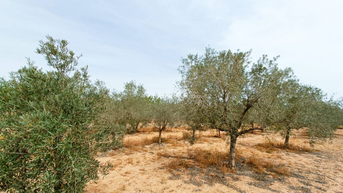 Resale - Villa - Hondon De Los Frailes