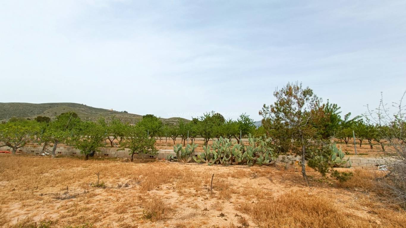 Resale - Villa - Hondon De Los Frailes