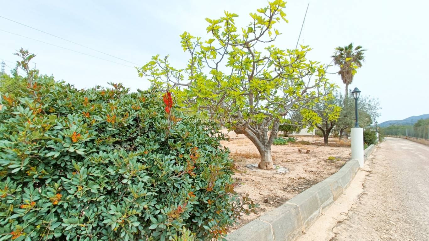 Resale - Villa - Hondon De Los Frailes