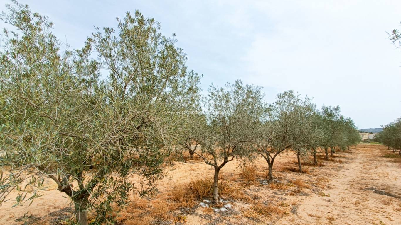 Resale - Villa - Hondon De Los Frailes