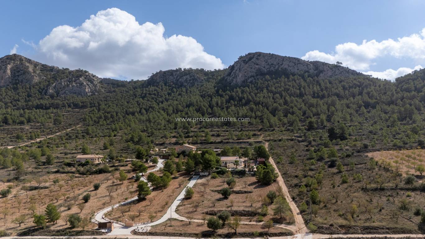 Resale - Villa - La Zarza