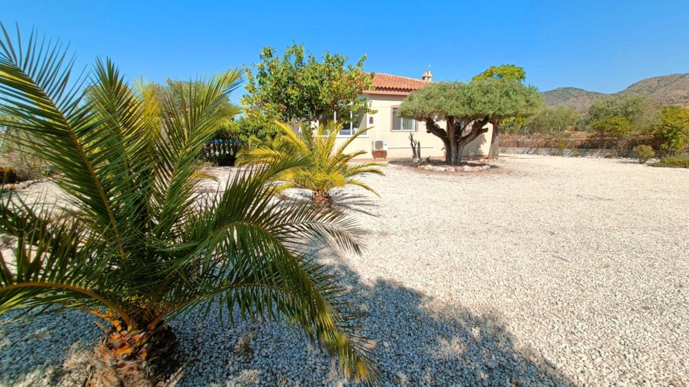 Resale - Villa - Macisvenda