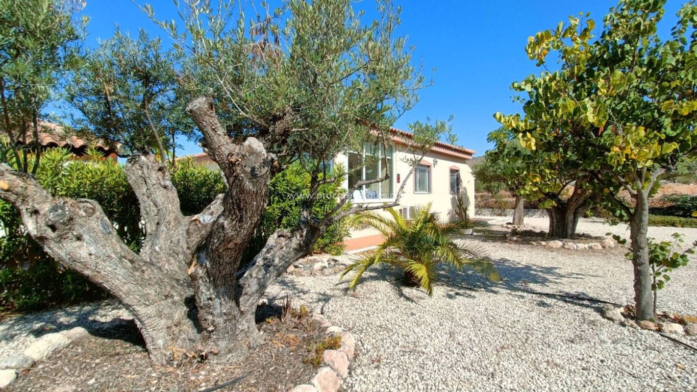 Resale - Villa - Macisvenda